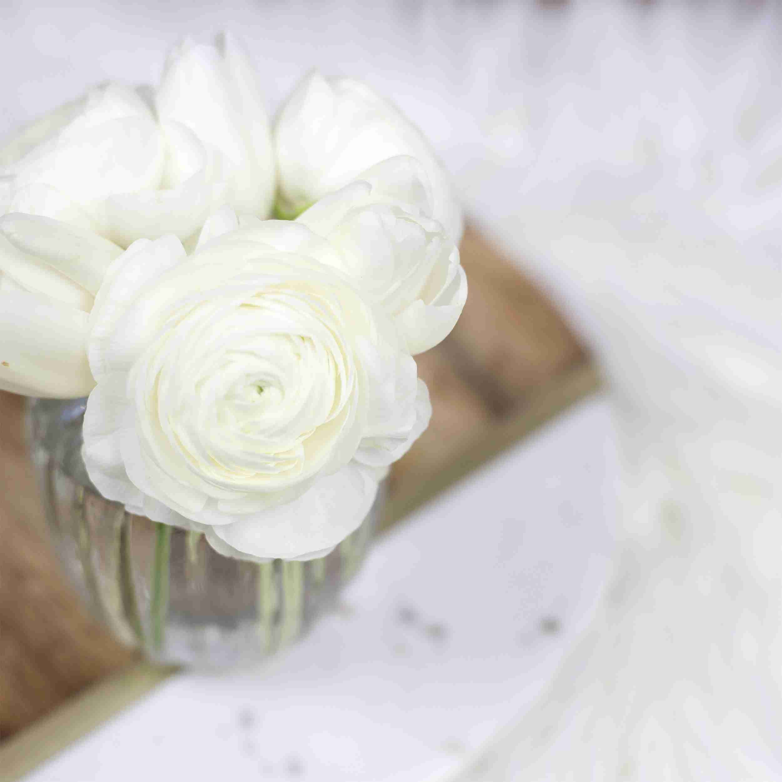 White Roses